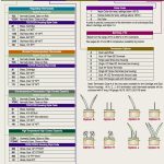 Numbering System Information Chart
